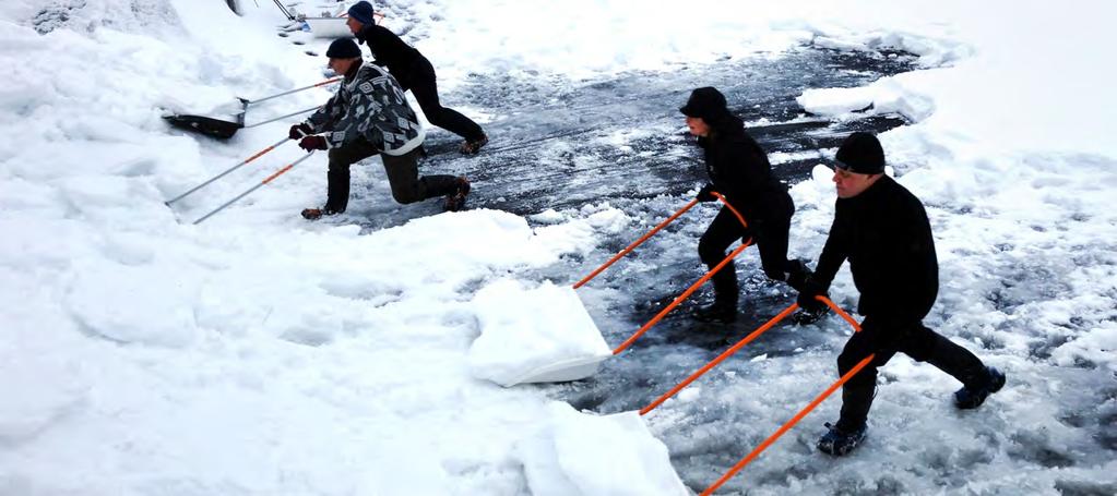 78 Ansvar Frivilligarbete räddade saimenvikarnas bobygge Vintern 2016 skovlades snöhögar ihop för tredje året i rad för att förbättra förutsättningarna för saimenvikaren att bygga bo och fortplanta