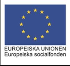 Det innefattar både projekt från Europeiska regionala utvecklingsfonden och Europeiska socialfonden.