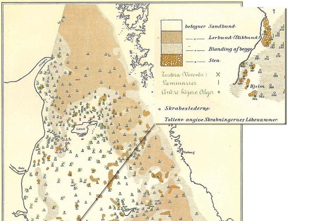 Orginalkarta med bottentyper: - Sandbotten