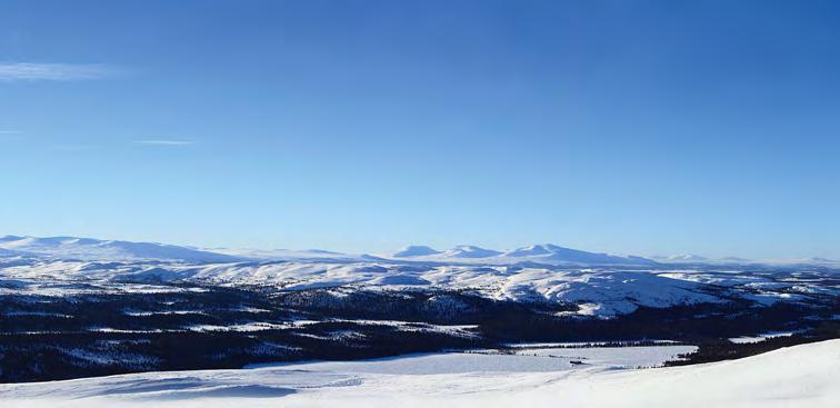 Hämta kraft och energi på vackra Renfjället Låt ett besökt i vår fantastiska fjällvärld tillföra gruppen ny skärpa och kreativitet.