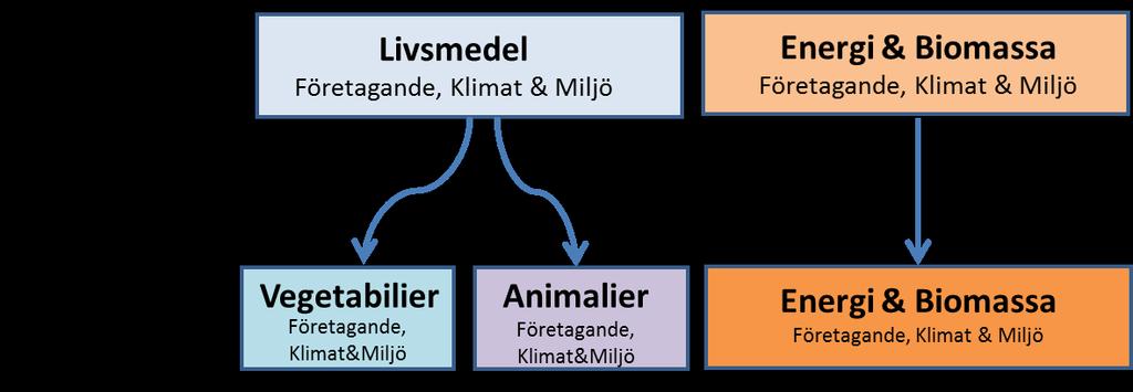 Tydlig beskrivning av vilka aktörer i innovationssystemet och i kunskapskedjan som är mottagare av kommande resultat och förädling till nästa steg i kedjan.