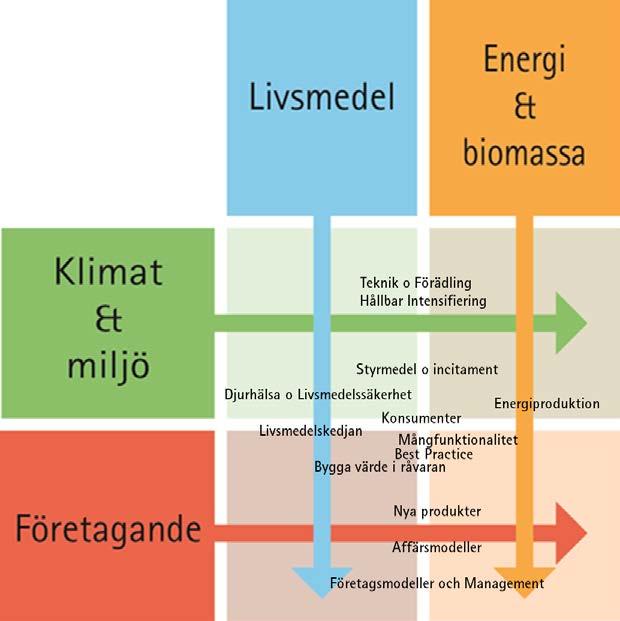 FORSKNINGSOMRÅDEN Stiftelsen Lantbruksforskning kommer att rikta in forskningsinsatserna mot tillämpad forskning inom fyra tematiska fokusområden: Livsmedel, Energi & Biomassa, Företagande samt