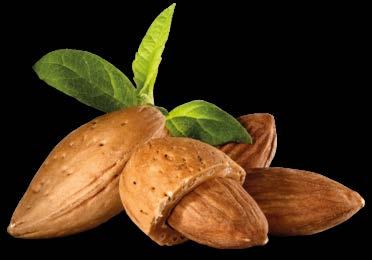 Odla alla pistagenötter som exporteras från Kaliforninen