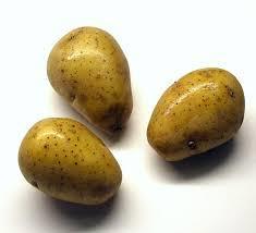 8 Att göra på skolan 100g potatis eller 2,5 g potatismjöl 3 cm 3 0,1 M HCl 3 cm 3 0,1 M NaOH 2 cm 3 glycerol 5.Tillverka plast av potatis Plast görs ofta av råolja.