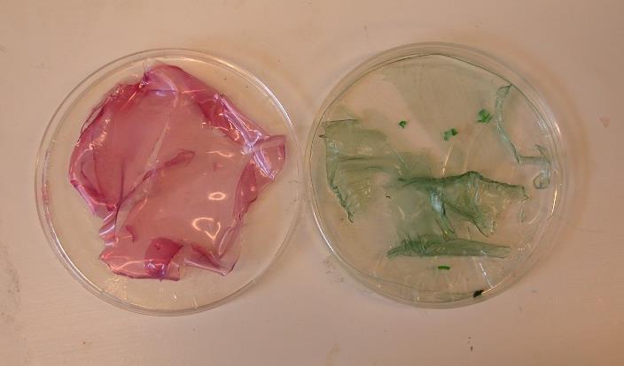9 Till läraren: Eleverna får tillverka eget potatismjöl eller så får de utgå från kommersiellt potatismjöl. Experimentet visar på polymerisation och bildandet av en plast.