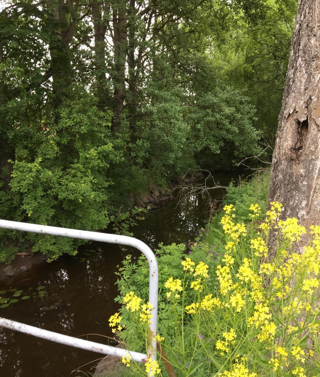 GÄVLE KOMMUN