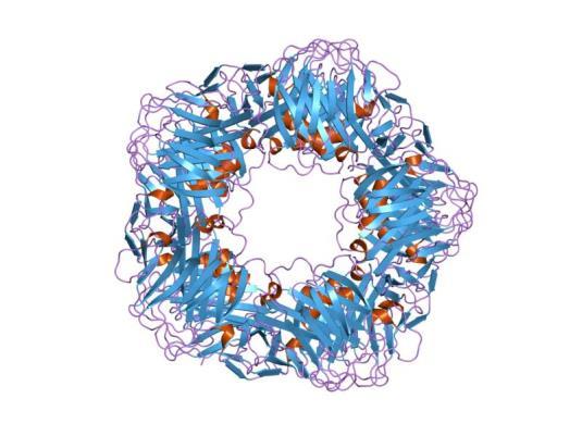 CRP C-reaktivt protein o Blodprov o Bildas i