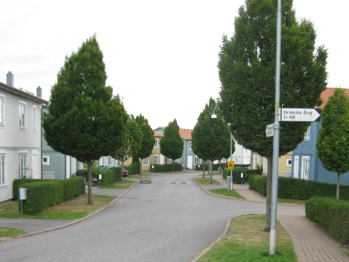 Uppbyggnadsbeskärning Konkurrerande toppskott, skott med spetsiga grenvinklar som inte är arttypiska samt felriktade grenar tas bort. Gallring av grenar som sitter för tätt.