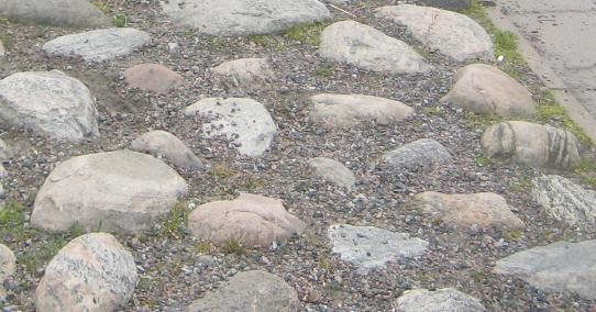 3.3 Lövhantering 6.4 Grus/stenmjöl brun fridel 2210 6.4.1 Vårarbete 6.4.2 Ogräsrensning Grusytan ska vara jämn utan åsar och gropar.