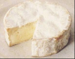Vitmögelkulturer Frystorkade kulturer av Penicillium candidum 1 och Penicillium camemberti ssp. caseicolum- 2. Art nr Benämning Frp storl Färg Tillväxt hastighet 310139 PC V5 1 310131 Best prod P.