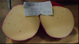 Max eftervärmning: 43ºC. Organism: Lactobacillus casei ssp. Bacteriocinproducerande. Anv: Används för att förhindra smörsyrajäsning av ost.