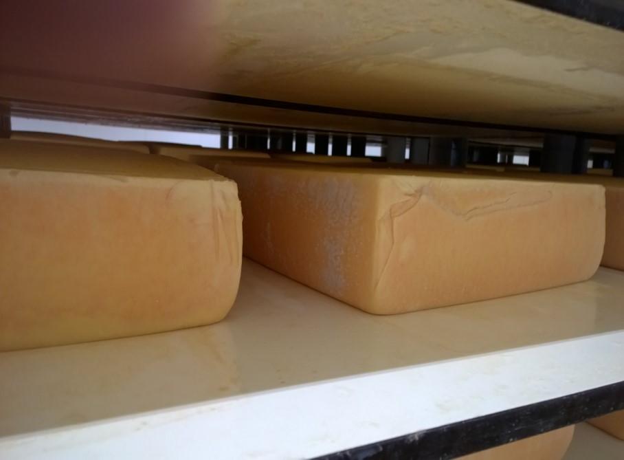Manchego.
