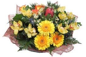 Kymbo Städdag i Kymbo Bygdegård onsdag 10 maj kl 18 Medtag städredskap (ute och inne) Blomsterarrangemang av Fredrik Augustsson från Karleby Handelsträdgård Tisdag 16 maj kl 19 i Kymbo Bygdegård