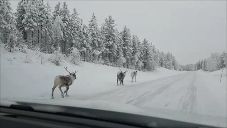 På väg 363 mellan verksamheterna som skulle intervjuas
