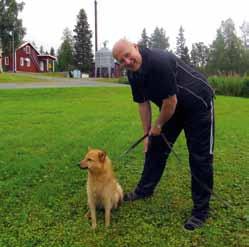 VÄSTERBOTTENS LAPPMARK Risbäcksprovet 19-20 augusti 2017 Nystarten av Risbäcksprovet lockade tio hundar som kunde beredas starter.