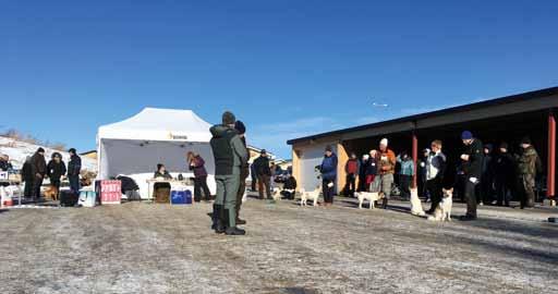 GÄVLEBORG SSF Gävleborgs hundutställning i Bollnäs den 25 februari Nytt för i år var att vi hade Dogtech och Mithril på plats som visade sina skydds- och vargvästar.