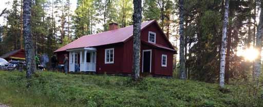 Vi väntade in i det längsta med eftermiddagstarterna men det var fortfarande väldigt blött i markerna och svårt för hundarna att hitta fågel. Antalet fm i snitt på lördagen blev 2,2.