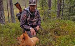13 hundar startade i ett väder som man inte väljer att gå ut i, regn och hällregn under största delen av proven.