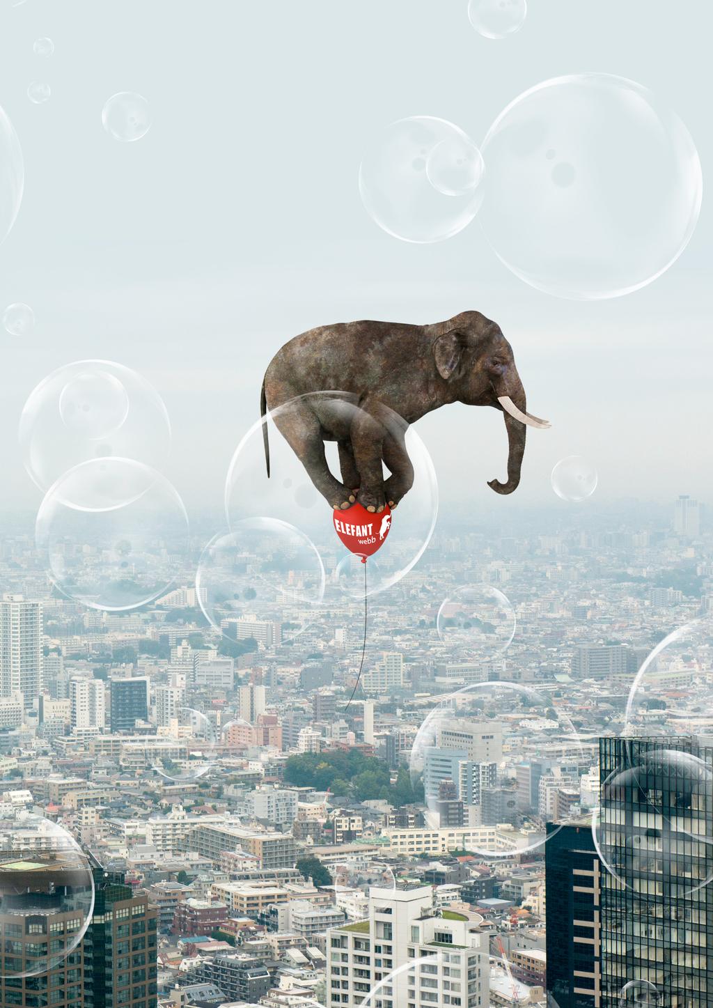 ELEFANT WEBB
