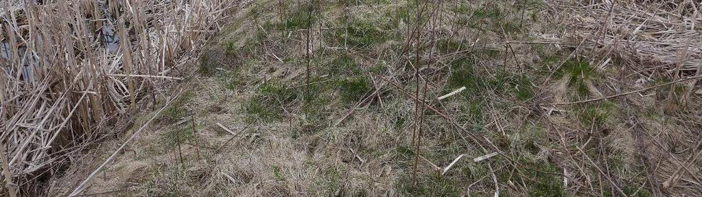 Larsen (personlig kommunikation, 15 april 2015) vikten av att projektera för tunga fordon på vallarna redan vid anläggande av en damm.