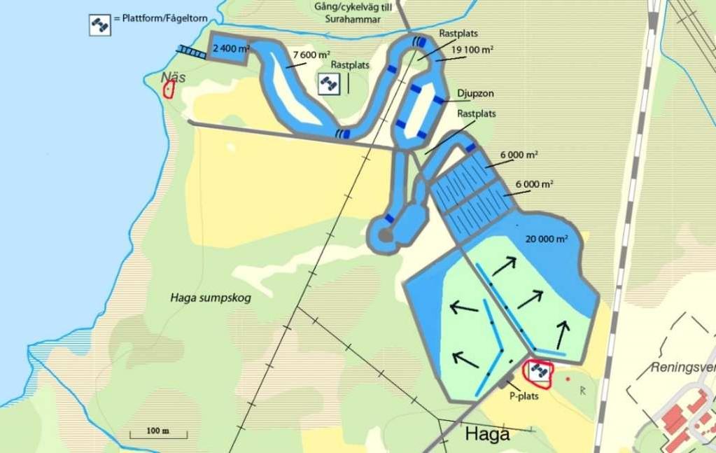 8 SLUTSATSER I det här arbetet har efterpolering av renat avloppsvatten med hjälp av våtmark studerats och fakta sammanställts, därefter har ett förslag på våtmark vid Haga reningsverk, Surahammar,