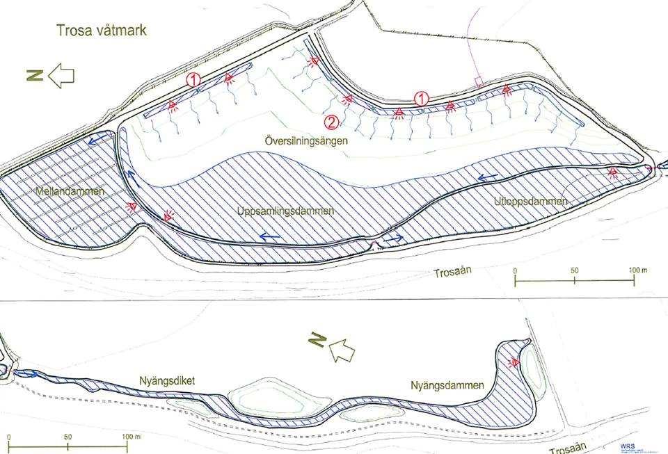 BILAGA 1: TROSA VÅTMARK Figur 6 Skiss över Trosa våtmark och hur de olika områdena är