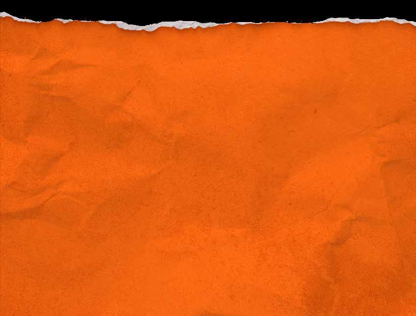 Så fördelas bidragen 2017 Driva våra barnbyar 54 % Bygga nya barnbyar 5,0 % Familjestärkande program 10 % Katastrofhjälp 20 % Kapacitetsförstärkning av SOS organisationer 2% Nationell