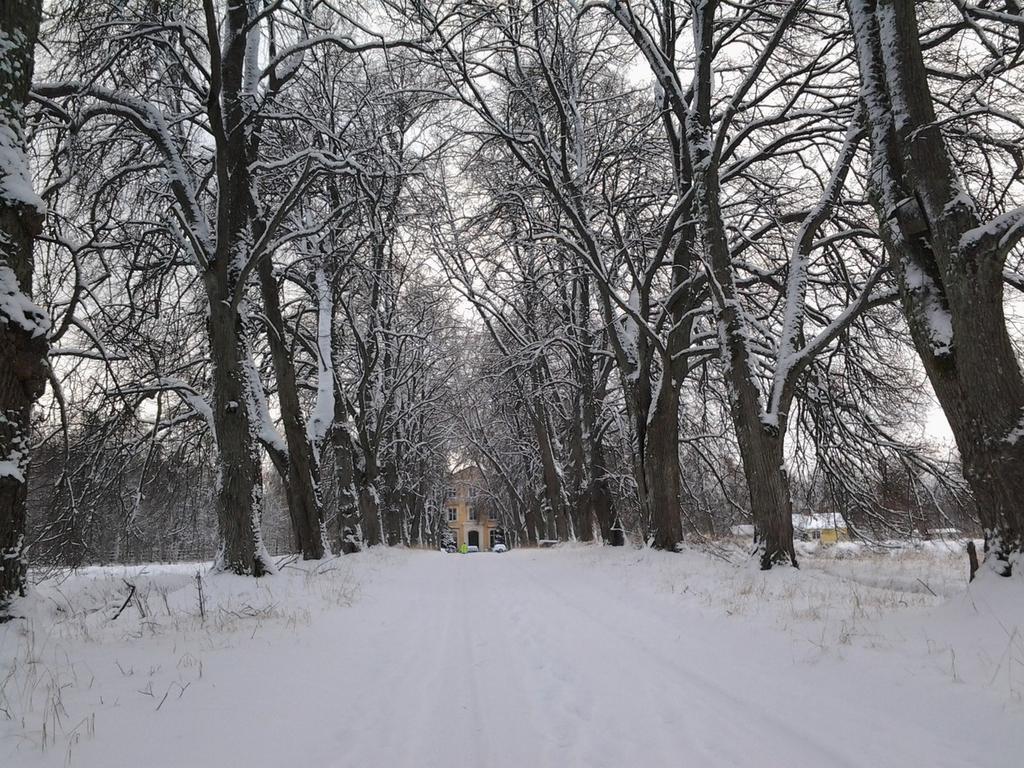 Och nu låt oss välkomna det nya året Fullt av saker som aldrig varit. - Rainer Maria Rilke Vagen till Niarte - Lena Herö Här kommer en julhälsning från Bildterapi Institutet Niarte!