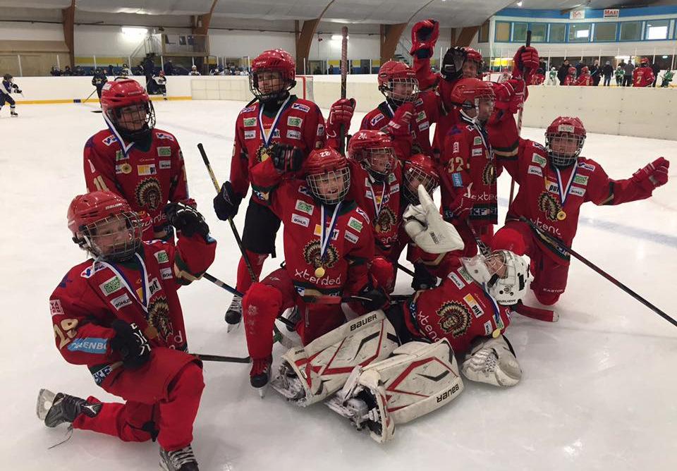 Hockeyakademin Högstadieskola med ishockeyprofil