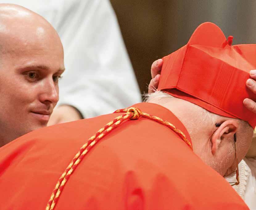 VÄSENTLIGA HÄNDELSER 2017 Påve Franciskus meddelade söndagen den 21 maj på Petersplatsen att biskop Anders Arborelius skulle utses till kardinal.