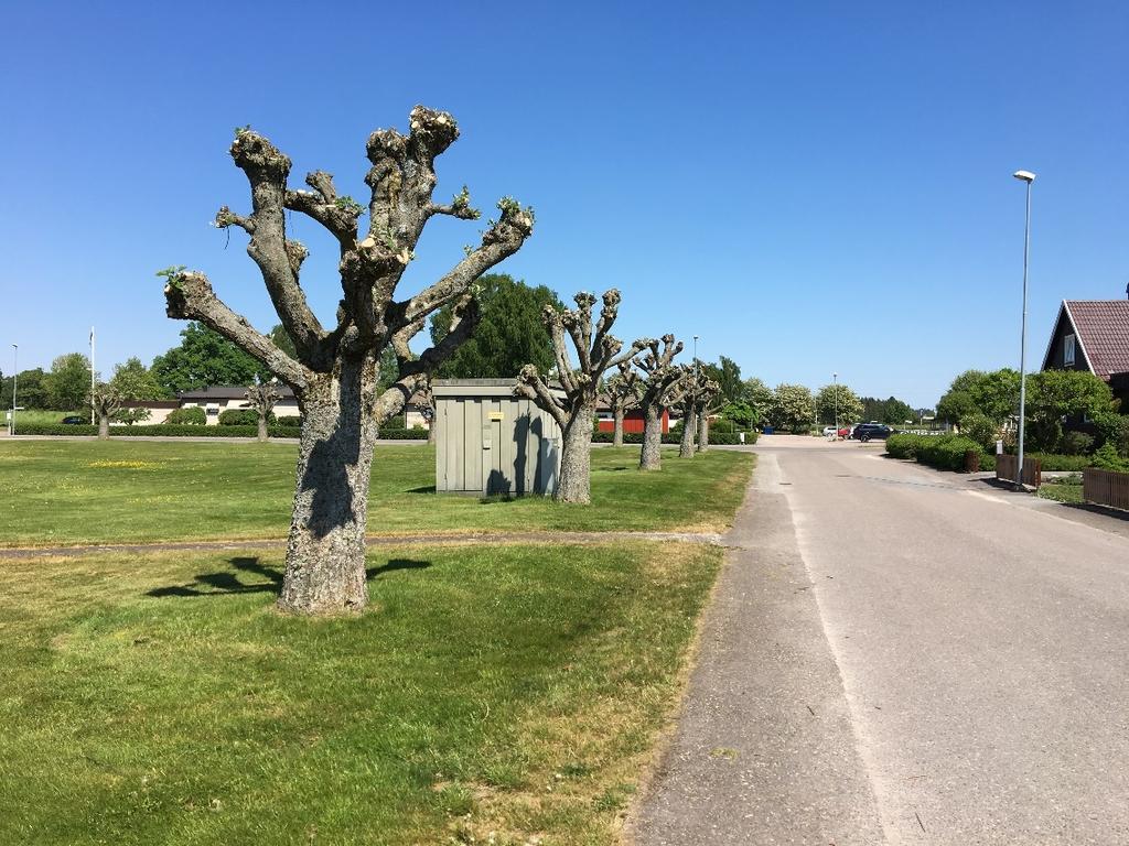 Enligt undersökningen består jordlagren från markytan i huvudsak av följande lager. Den översta jorden utgörs av ca en halv meter mulljord. Under mulljorden följer sand eller silt.