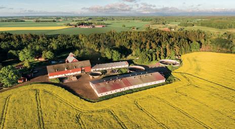 Halla gård På Halla gård utanför Kvänum i Västergötland föder Anders Gunnarsson upp svensk Rapsgris och odlar nästan allt foder på plats. Gården drivs av Anders, hans far och en anställd.