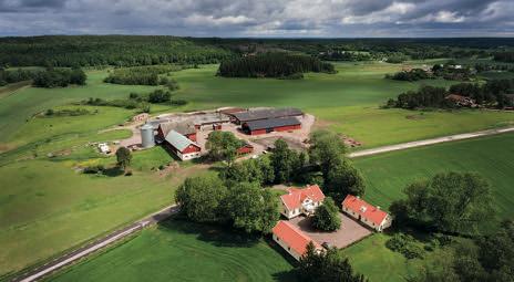 Evertsholm Gården Evertsholm ligger vid Göta kanal inte långt från Söderköping i Östergötland. Här föds svensk Rapsgris upp av Catrin och Jan Siverskog.