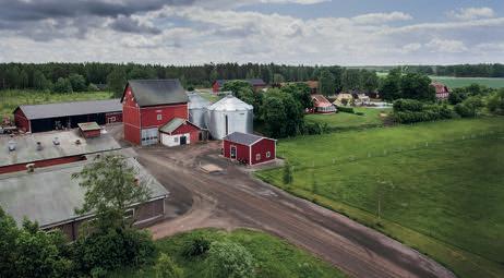 Sörby gård På Sörby gård i Badelunda utanför Västerås föder Magnus Jansson upp svensk Rapsgris. Våra grisar är friska och lever ett aktivt liv Magnus Janssons pappa köpte Sörby gård 1968.