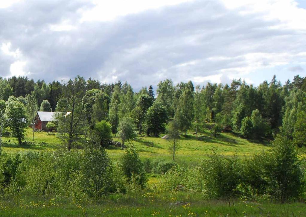 Kapitel 3