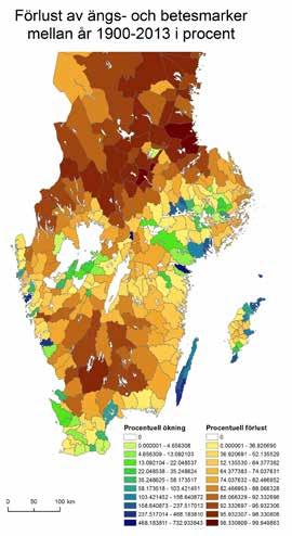 Följden är en biologisk utarmning. Människan har åstadkommit en betydande utdöendeskuld.
