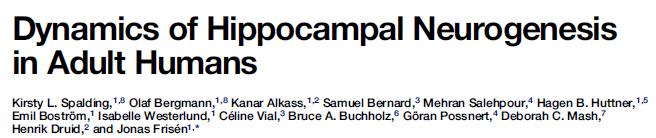 1 400 nervceller bildas i hippocampus varje