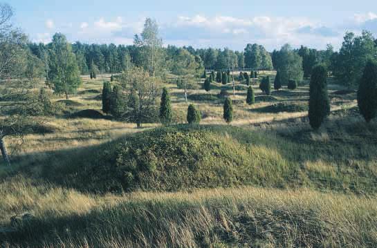 Gravfältet Kånna högar strax söder om Ljungby är länets största gravfält med ca 250 gravar. Huvuddelen av dessa utgörs av högar, den typiska gravformen för Finnveden under yngre järnålder.