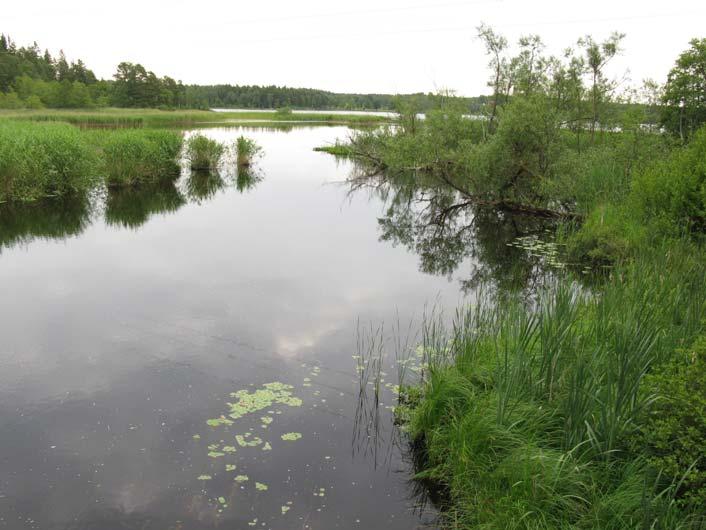 Dessutom tar Farbäcken en liten väg vid sidan om vid Havbältan, vilket skapar en annorlunda miljö (fig 13, 8 och 9). Fig 11.
