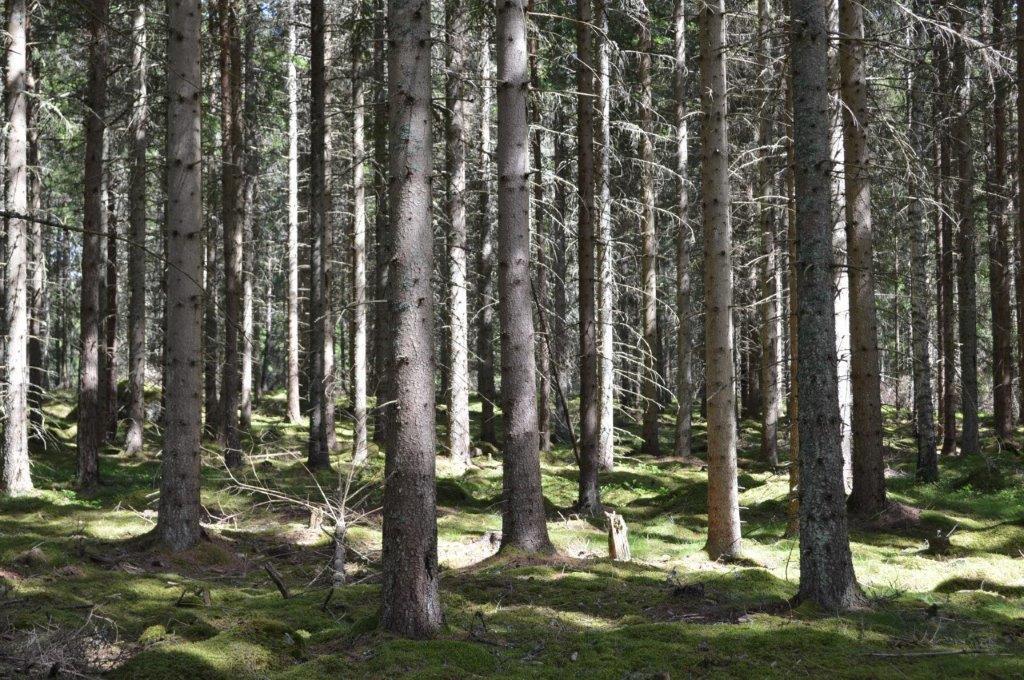 Taxeringsvärde Fastigheterna utgör tre separata taxeringsenheter, typkod 110 (Lantbruksenhet) och 820 (Specialenhet, distributionsbyggnad).