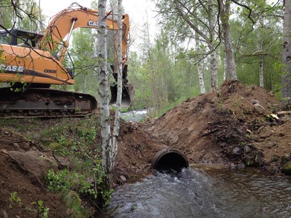 Under arbetena har sågdammen utanför Natura 2000-områdetsänkts av för att kunna utföra restaureringen. Det kan nu konstateras att sänkningen skapat en mer strömmande miljö.