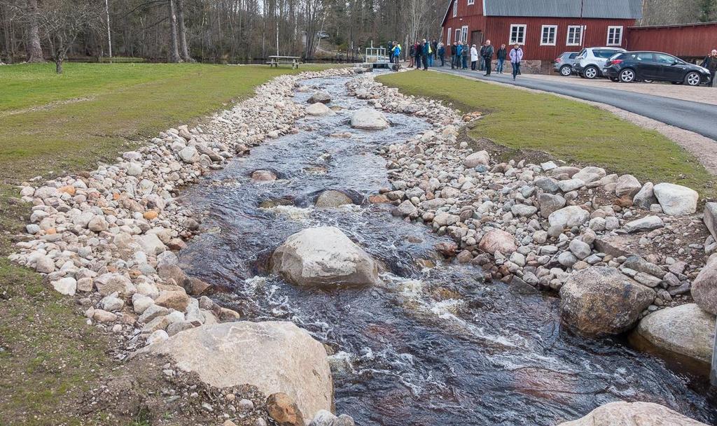 One of two by-passes in Bräkneån River. Skydd Bräkneån skyddas genom Natura 2000 och de reservat som finns utmed ån.