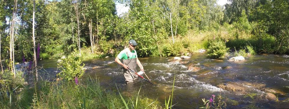 Monitoring In summary, the results obtained from the monitoring program reveals an overall strong positive impact on the habitats and the biotic variables following the restoration, table 1.
