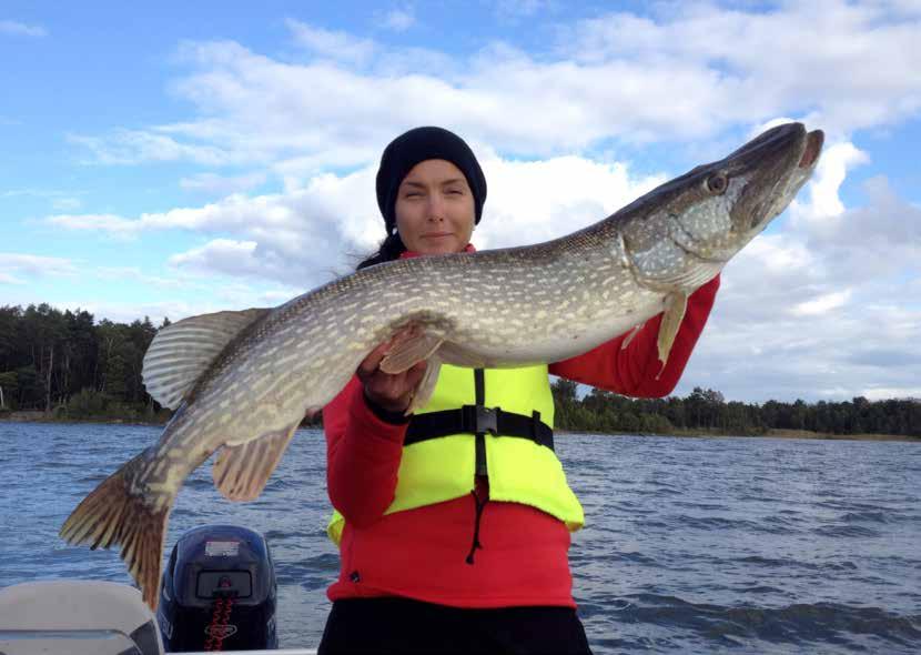 Svenskt fritidsfiske och fisketurism 2020 Så utvecklar vi svenskt fritidsfiske och fisketurism Årsrapport 2015 Allt bättre kartläggning av fritidsfiske och