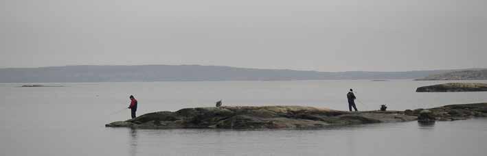 FISKEMEDIA Havsöringsfiske från västkustens klippor. Foto: Daniel Melin.