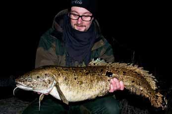 nyheter. Idag har fisheco.se ca 12000 unika besökare per vecka och ökar. FishEco.se levererar ca 5-15 nyheter per dag, 365 dagar om året. Besöksrekordet 2015 var över 17000 besökare på en enskild dag.