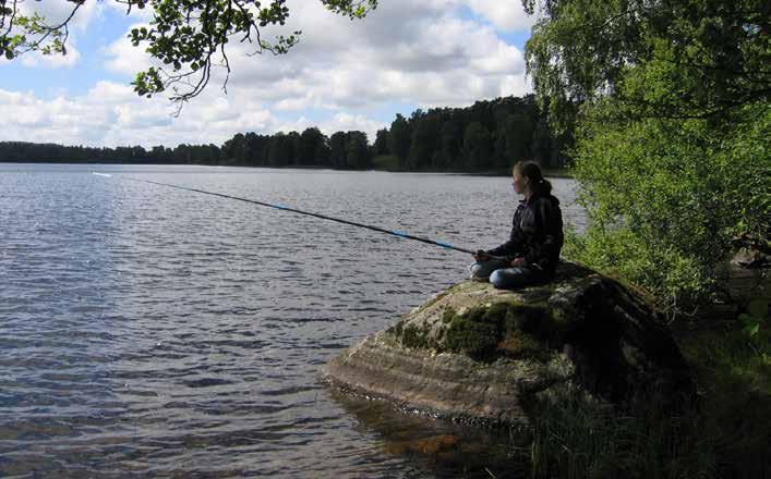 Om Sveriges Fiskevattenägareförbund Sveriges Fiskevattenägareförbund är rikstäckande intresseorganisation för landets ägare och förvaltare av enskilda fiskevatten.