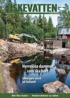 FÖRBUNDETS TIDSKRIFT Våra fiskevatten Sveriges facktidskrift om utveckling av fiskevatten Våra fiskevatten Tidskriften Våra fiskevatten har regelbundet kommit ut fyra gånger om året sedan 1984.