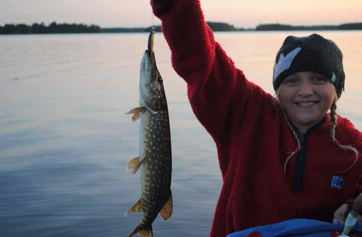 Glad gäddfiskare. Foto Henrik C Andersson. Om Länsstyrelserna Sverige är indelat i 21 län. I varje län finns en länsstyrelse och en landshövding - regeringens företrädare i länen.