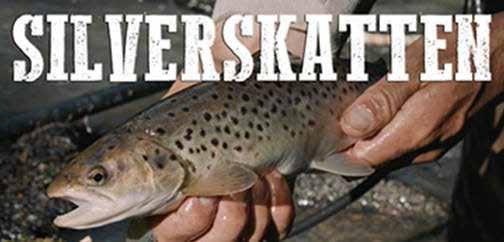 SILVERSKATTEN Det finns stort intresse för fiske och fiskevård men det blir allt svårare att nå ut i det intensiva informationsflödet.